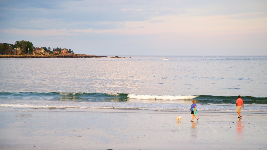 Gooch\'s Beach showing a beach and general coastal views as well as a couple