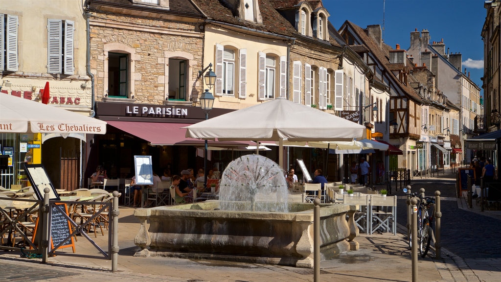 Beaune mostrando fontana