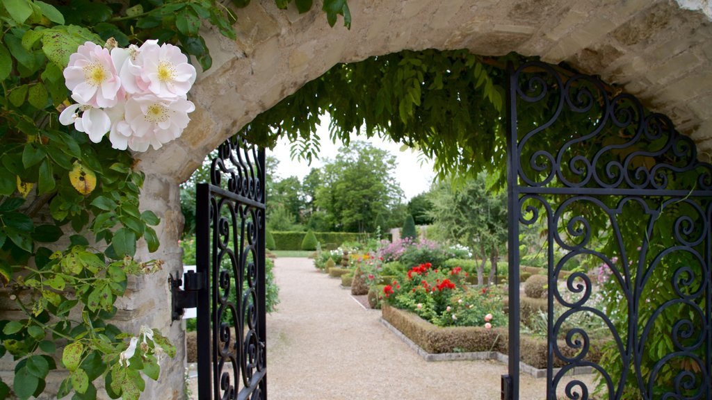 Castillo de Pommard que incluye un parque y flores silvestres