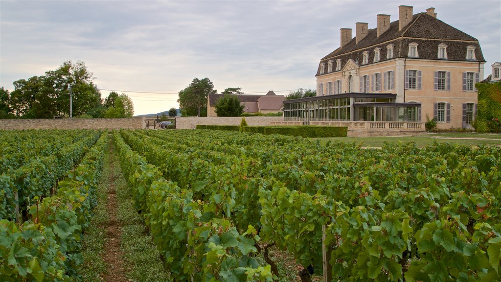 Château de Pommard som viser landbrugsområde og et hus