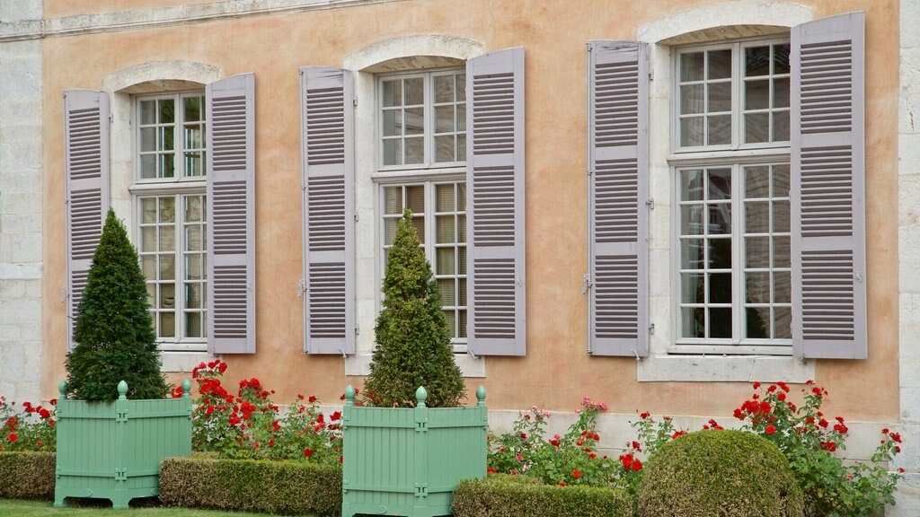 Chateau de Pommard showing flowers and a house