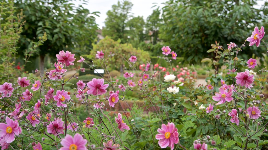 Chateau de Pommard showing a park and wild flowers