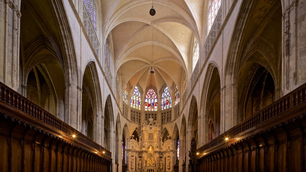 Cathédrale Saint-Étienne toont een kerk of kathedraal, historisch erfgoed en interieur