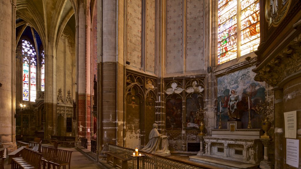 Cathédrale Saint-Étienne ofreciendo vistas interiores, una iglesia o catedral y elementos del patrimonio