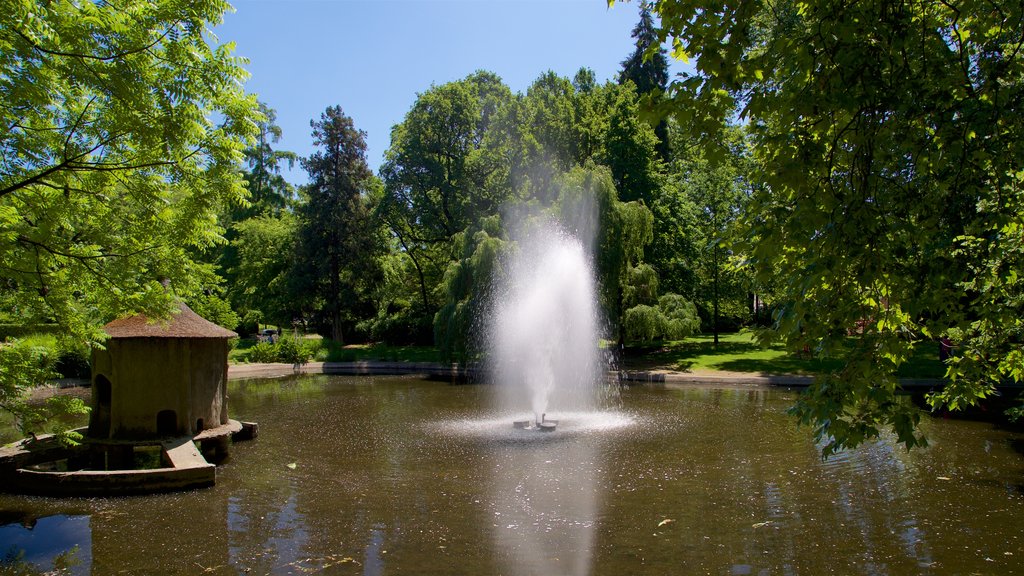 Jardin Royal que incluye una fuente y un estanque