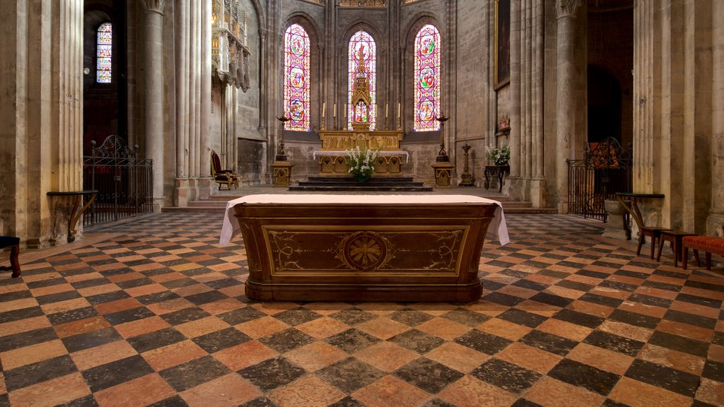 Chalon Cathedral which includes interior views, a church or cathedral and heritage elements