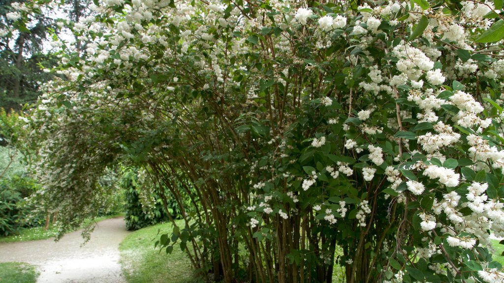 Japanese Garden Toulouse toont een park en wilde bloemen