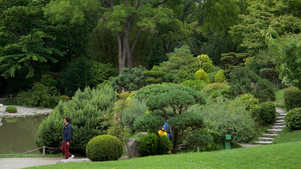 Japanese Garden Toulouse showing a pond and a park as well as an individual male