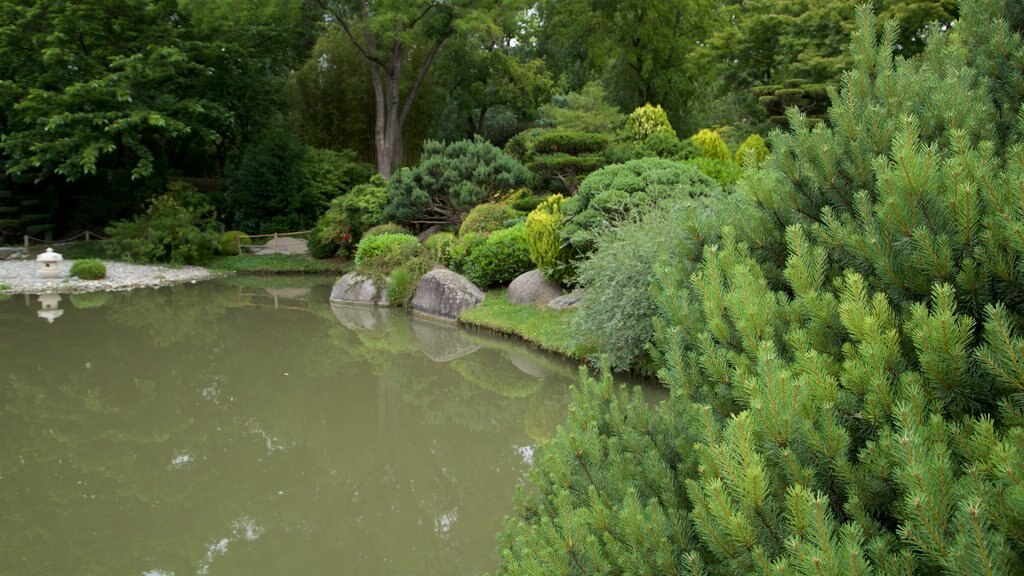 Japanese Garden Toulouse showing a pond and a garden