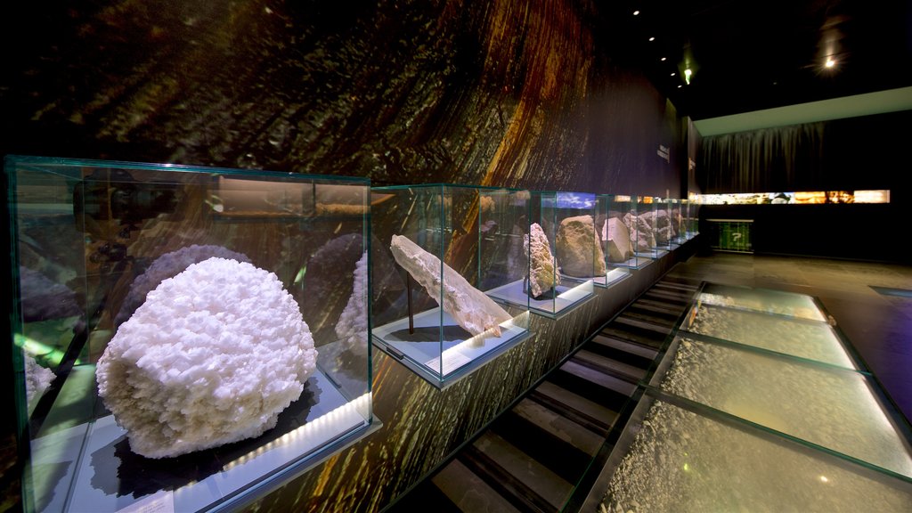 Museum of Toulouse showing interior views