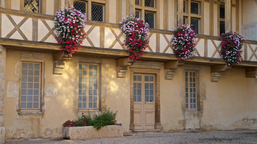 Burgundy Wine Museum showing flowers and heritage elements