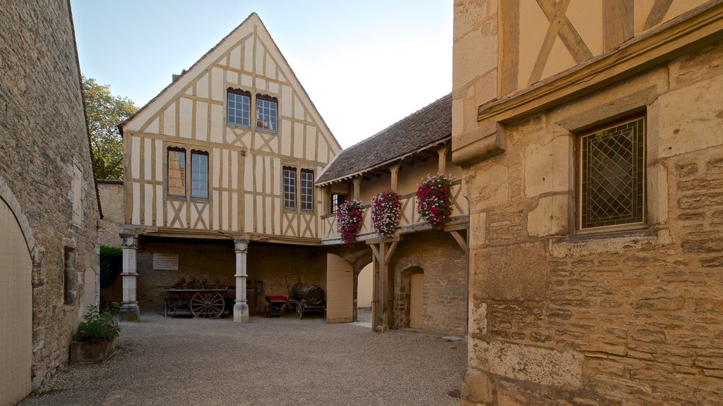 Wijnmuseum van Bourgondië bevat bloemen en historisch erfgoed