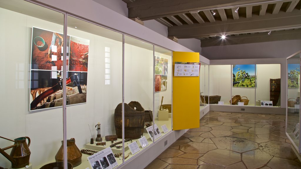 Museo del Vino de Burgundy ofreciendo vista interna