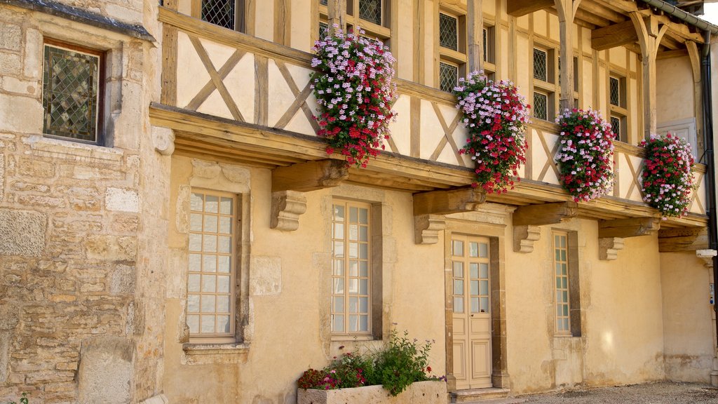 Museo del Vino de Burgundy que incluye flores