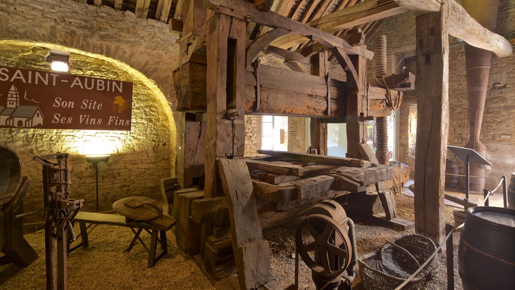 Museo del Vino de Burgundy que incluye elementos del patrimonio y vistas interiores