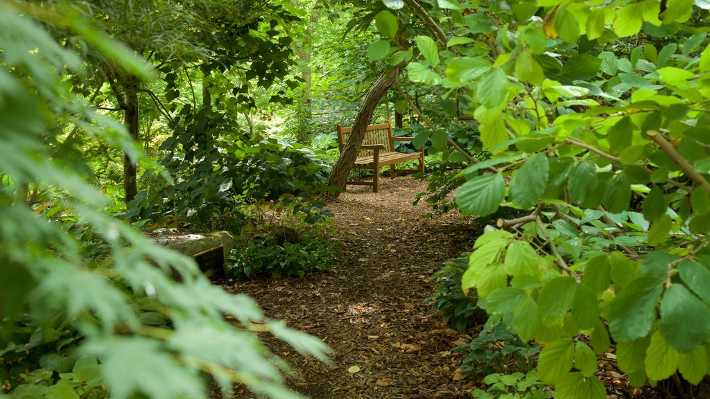 Lauritzen Gardens mettant en vedette un parc