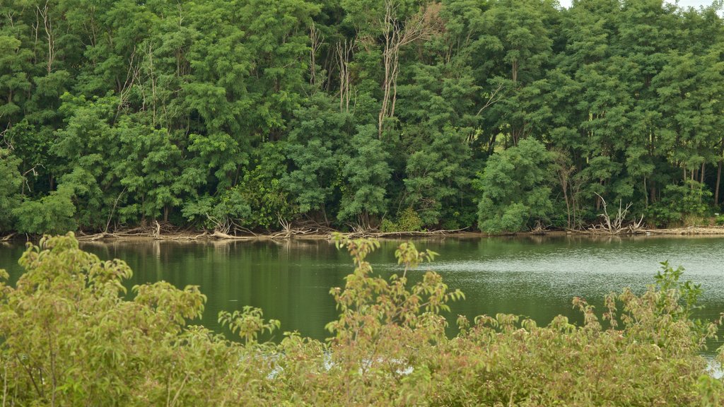 Zorinsky Lake Park mit einem See oder Wasserstelle