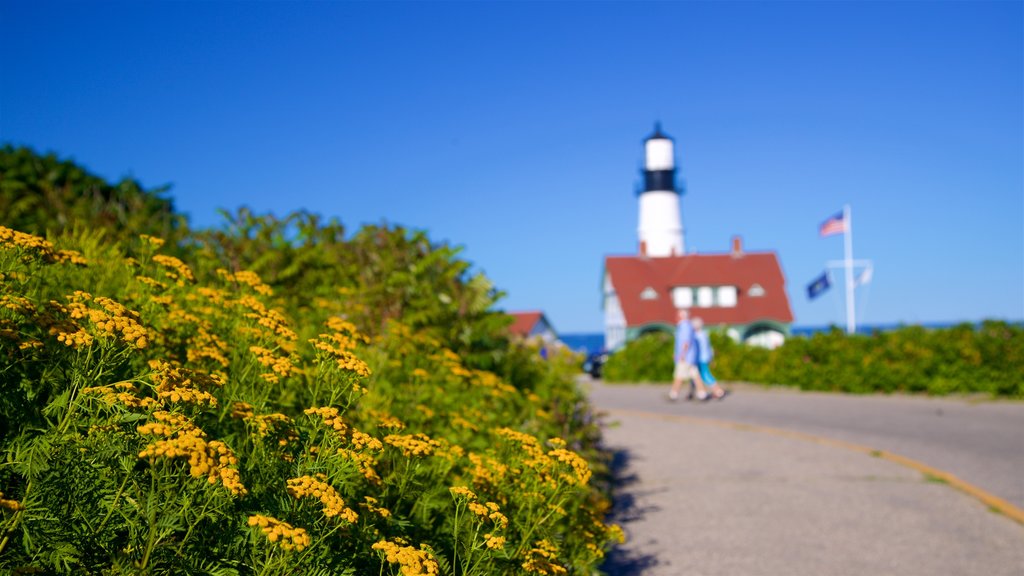 Portland Head Light que inclui flores silvestres e um farol