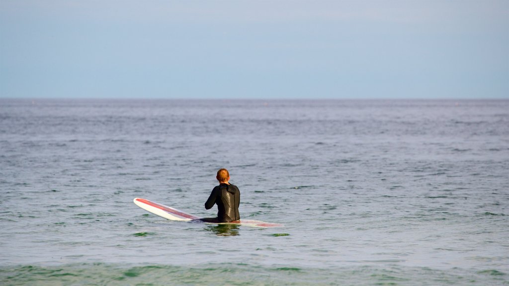 Higgins Beach bevat algemene kustgezichten en surfen en ook een man