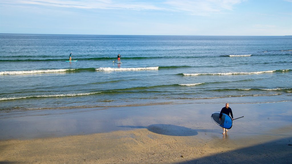 Playa Higgins que incluye surf y vista general a la costa y también un hombre