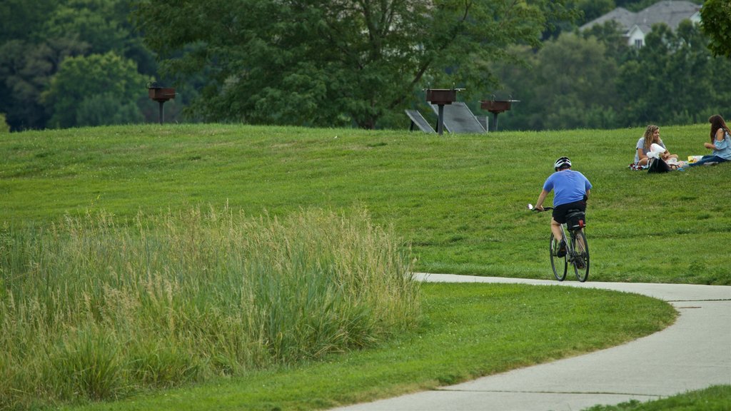 Zorinsky Lake Park showing a garden and cycling as well as an individual male