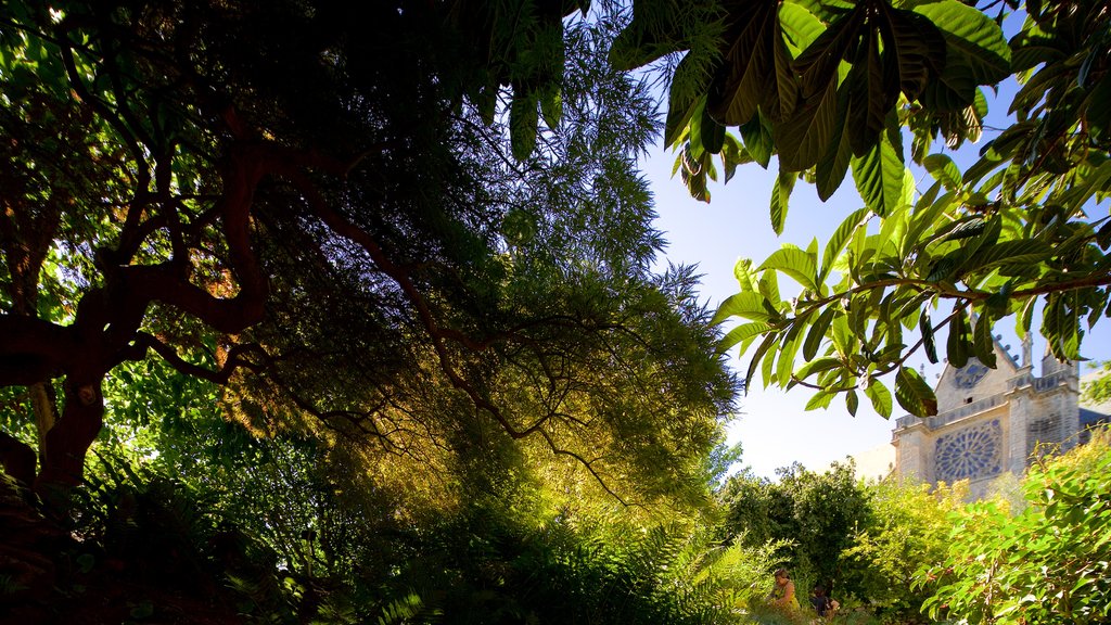 Jardin de l\'Eveche som viser kulturarvsgenstande og en park