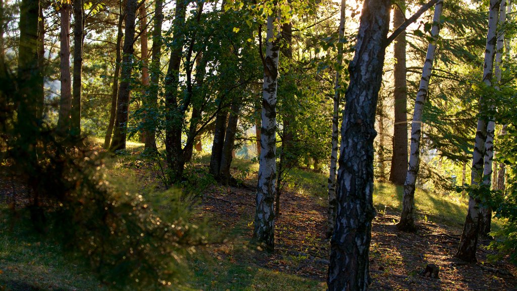 Montjuzet Park showing a park