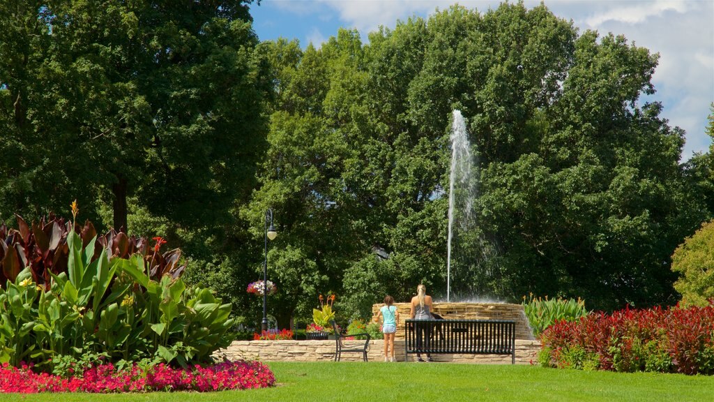 Vander Veer Botanical Park showing wild flowers, a garden and a fountain