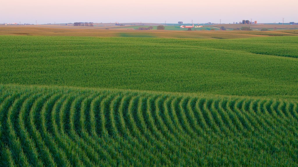 Dubuque featuring a sunset, landscape views and farmland