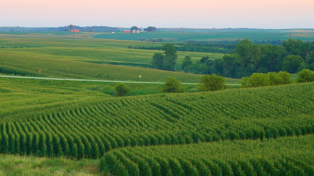 Dubuque que incluye escenas tranquilas, tierras de cultivo y una puesta de sol