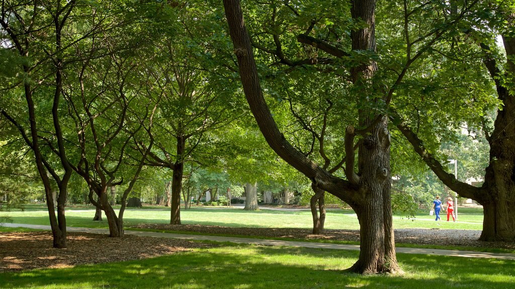 Universitas Negeri Iowa menampilkan kebun