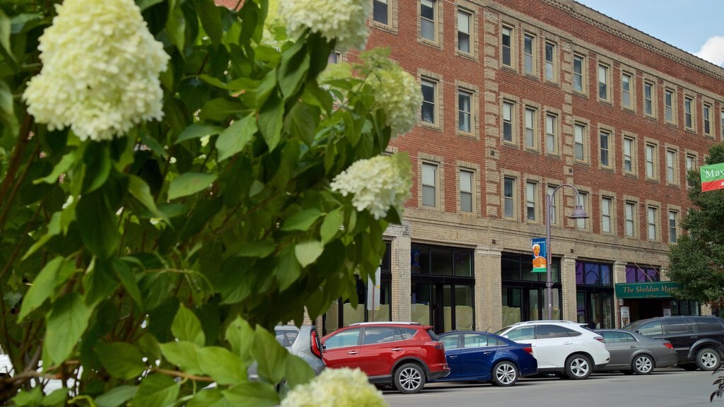 Main Street Cultural District showing wildflowers