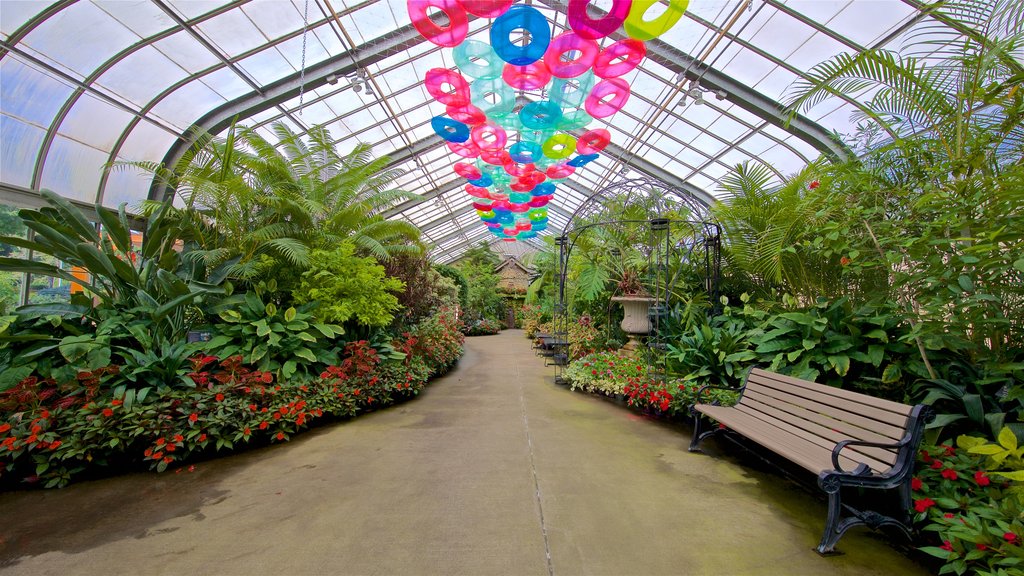 Vander Veer Botanical Park mostrando flores silvestres, un parque y vista interna