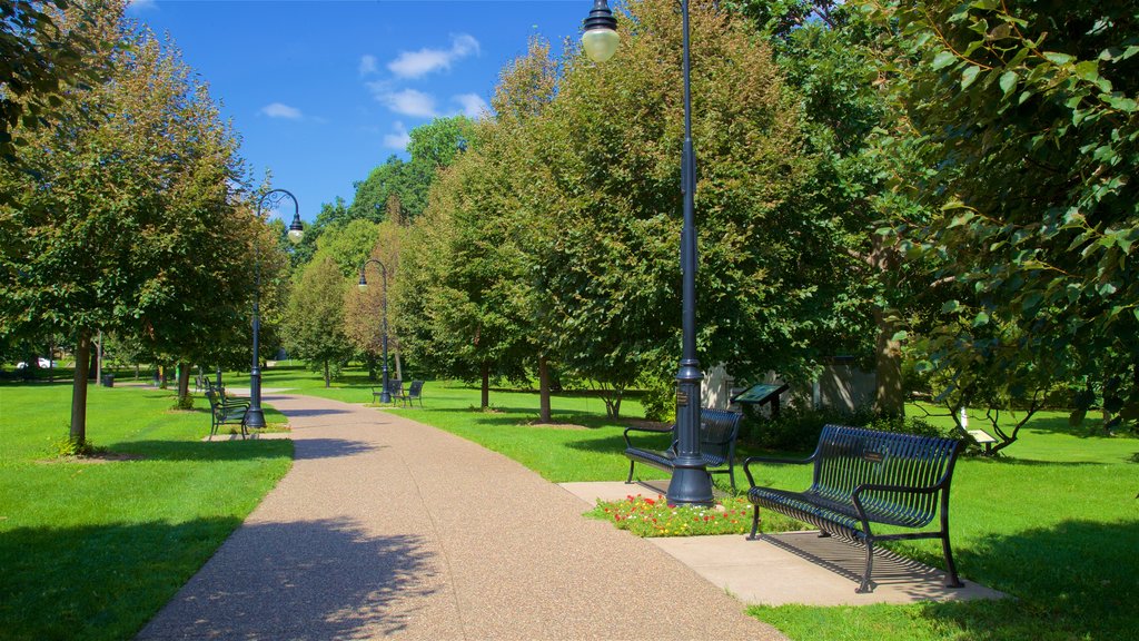 Vander Veer Botanical Park showing a garden