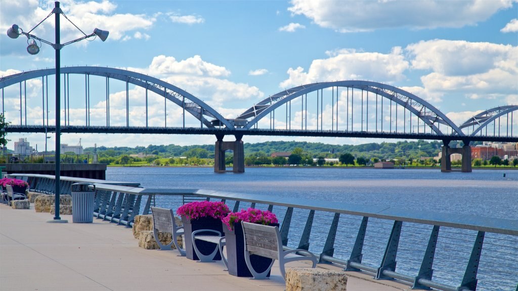 Davenport mostrando flores, um rio ou córrego e uma ponte