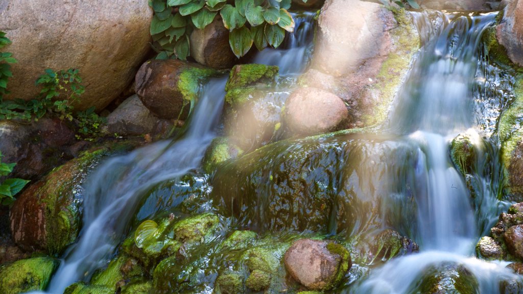 Dubuque Arboretum and Botanical Gardens toont een rivier of beek