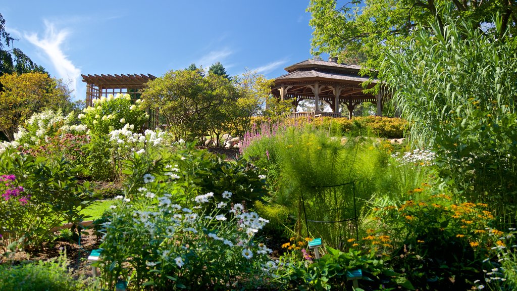 Dubuque Arboretum & Botanical Gardens mostrando um jardim e flores silvestres