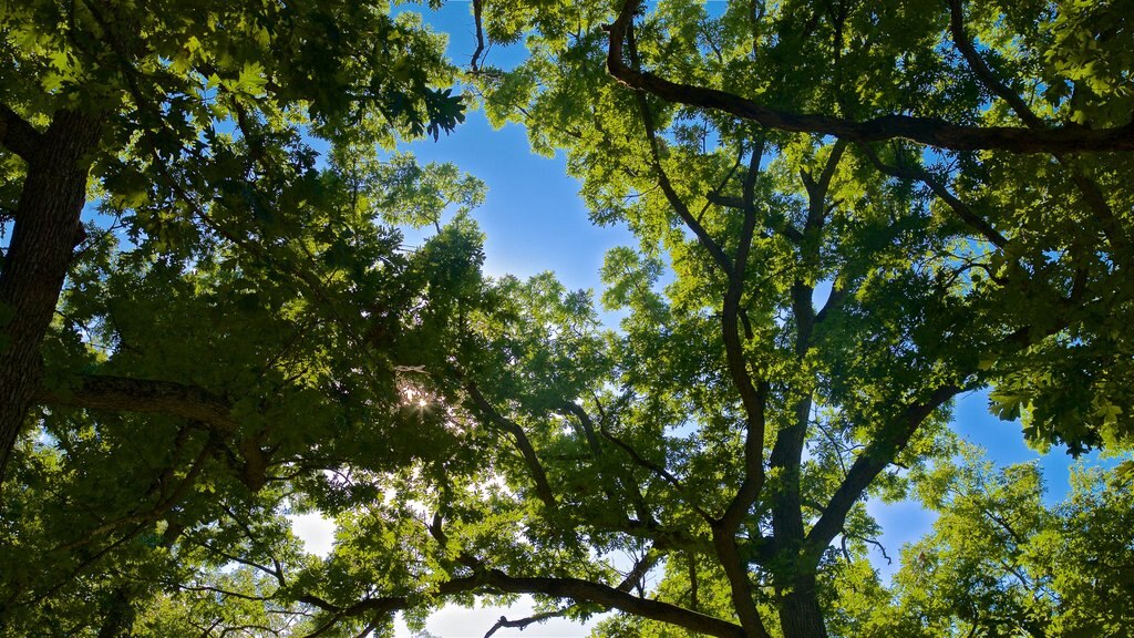 鷹岬公園 设有 花園