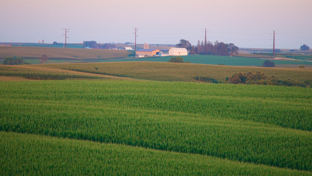 Dubuque showing a sunset, landscape views and farmland