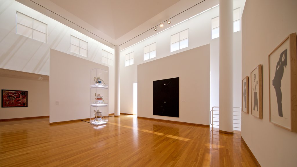 Des Moines Art Center showing interior views and art