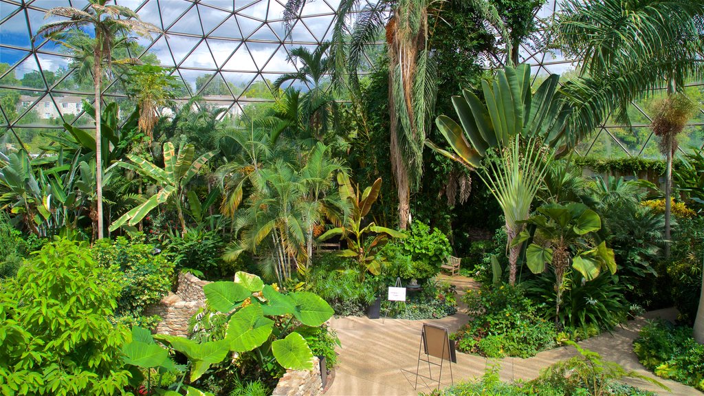 Des Moines Botanical Center which includes a park and interior views