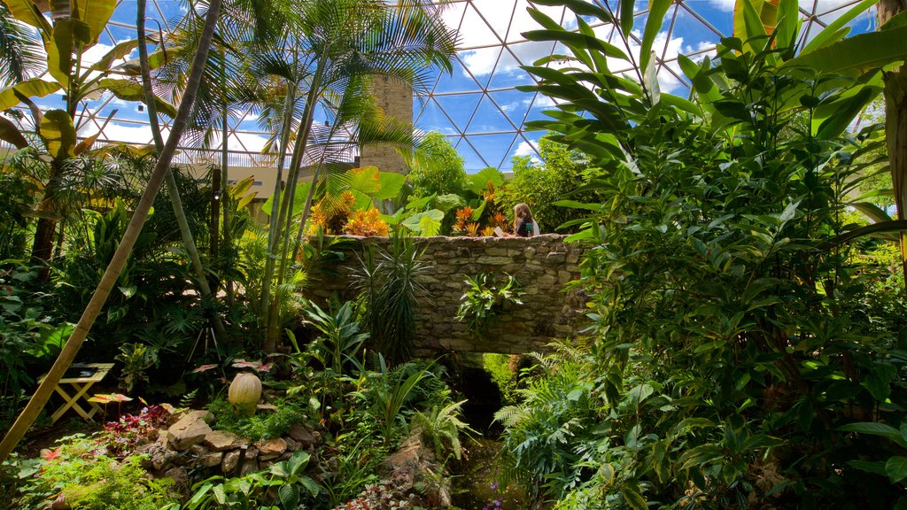 Des Moines Botanical Center featuring a park, interior views and a bridge