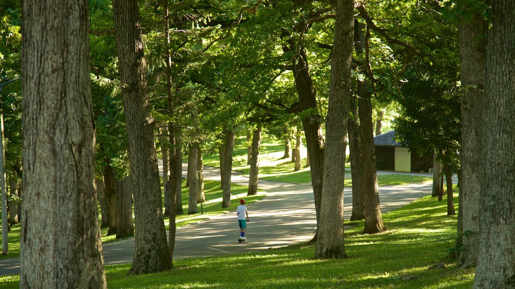 Eagle Point Park som viser en park såvel som et barn