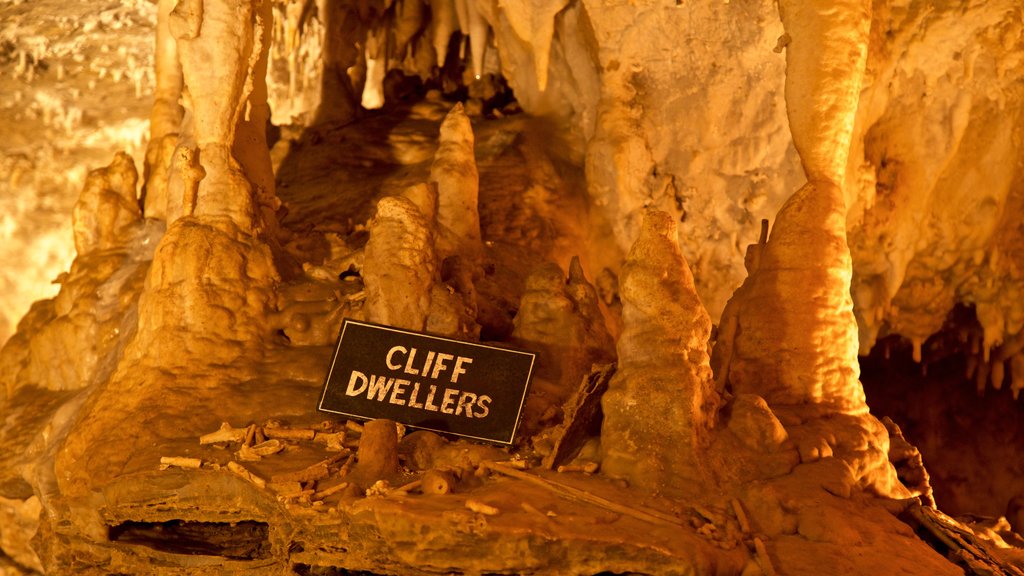 Crystal Lake Cave which includes signage and caves