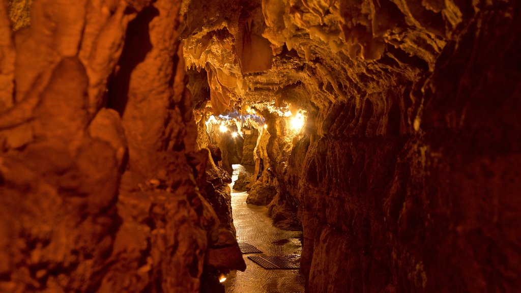 Crystal Lake Cave showing caves