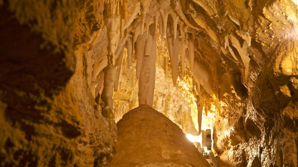 Crystal Lake Cave which includes caves