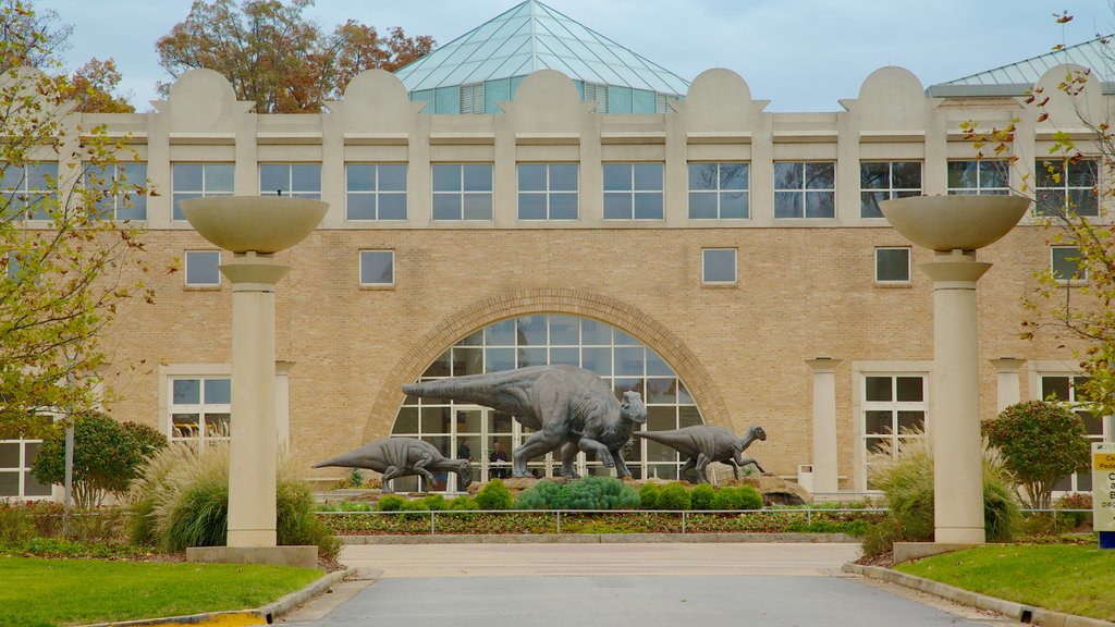 Fernbank Museum of Natural History montrant ville