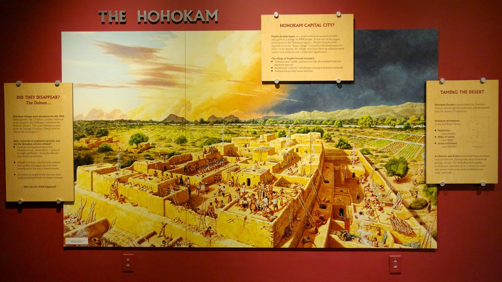 Pueblo Grande Museum and Archaeological Park featuring interior views