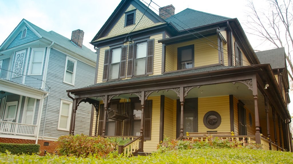 Martin Luther King Jr. National Historic Site showing a memorial, a house and a monument