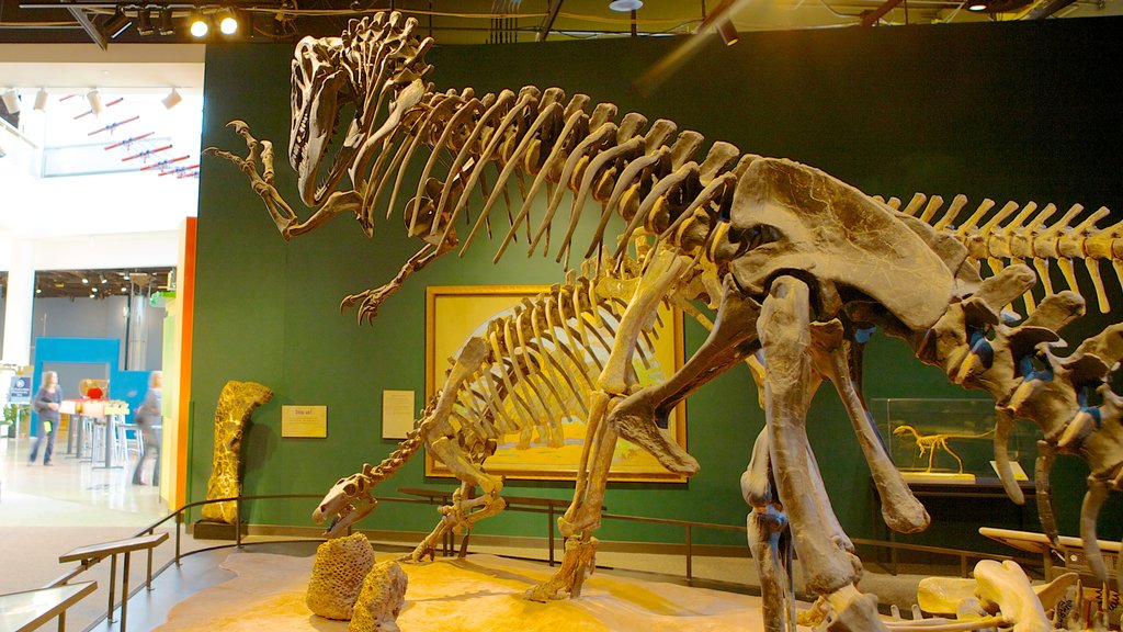 Science Museum of Minnesota showing interior views